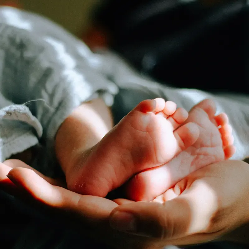 Can the state deny the right to adopt based on religion?